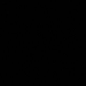 Meet your Posher, Jnya